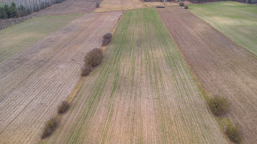 Piękna działka 1,05 ha Chudolipie gm. Mszczonów - zdjęcie 6