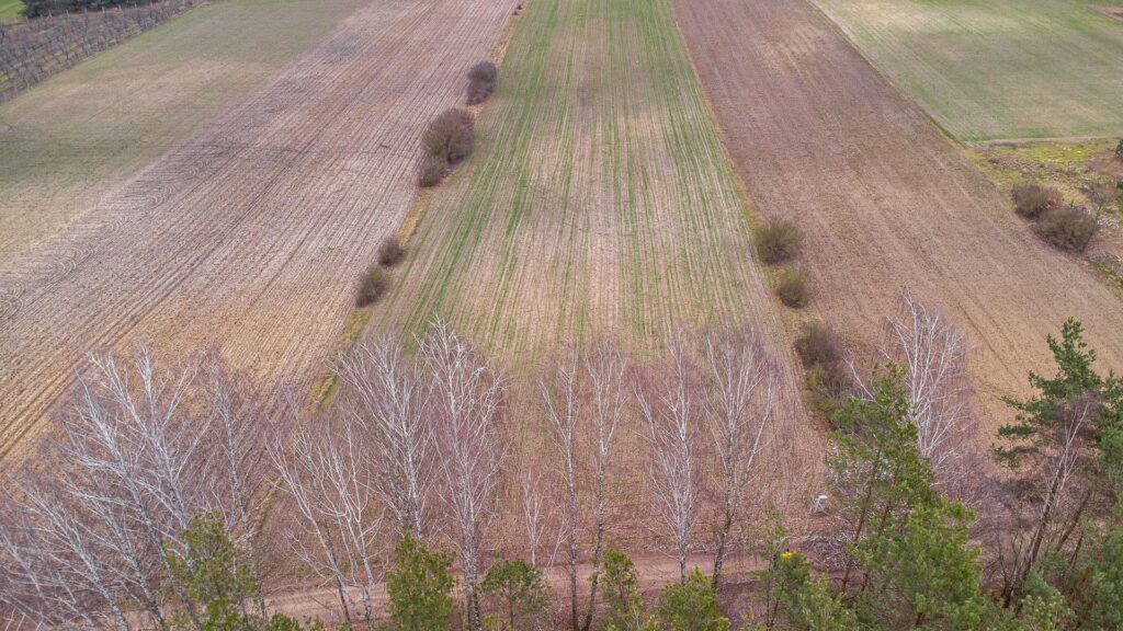 Piękna działka 1,05 ha Chudolipie gm. Mszczonów - zdjęcie 7