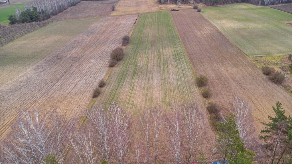 Piękna działka 1,05 ha Chudolipie gm. Mszczonów - zdjęcie 8