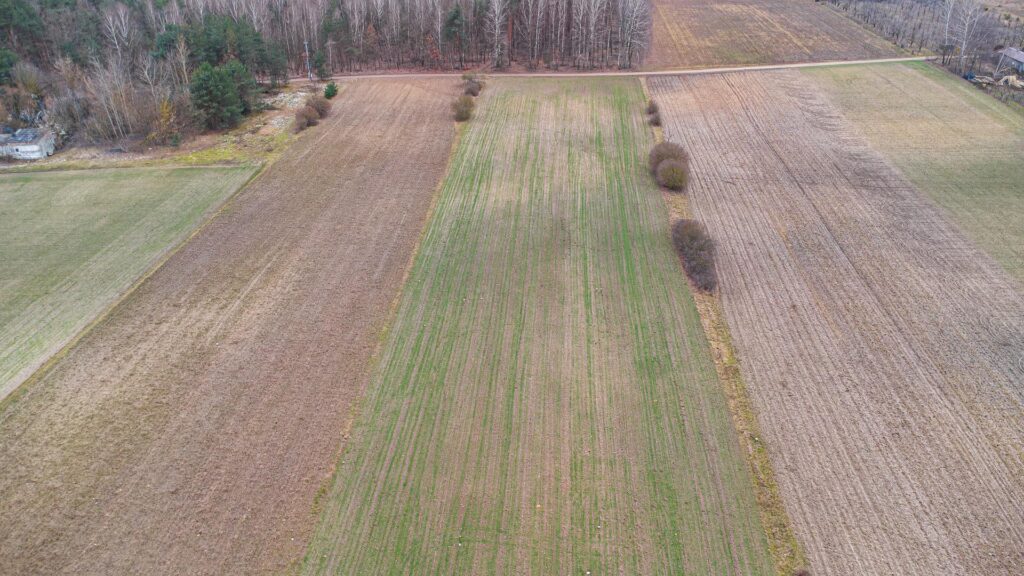 Piękna działka 1,05 ha Chudolipie gm. Mszczonów - zdjęcie 9