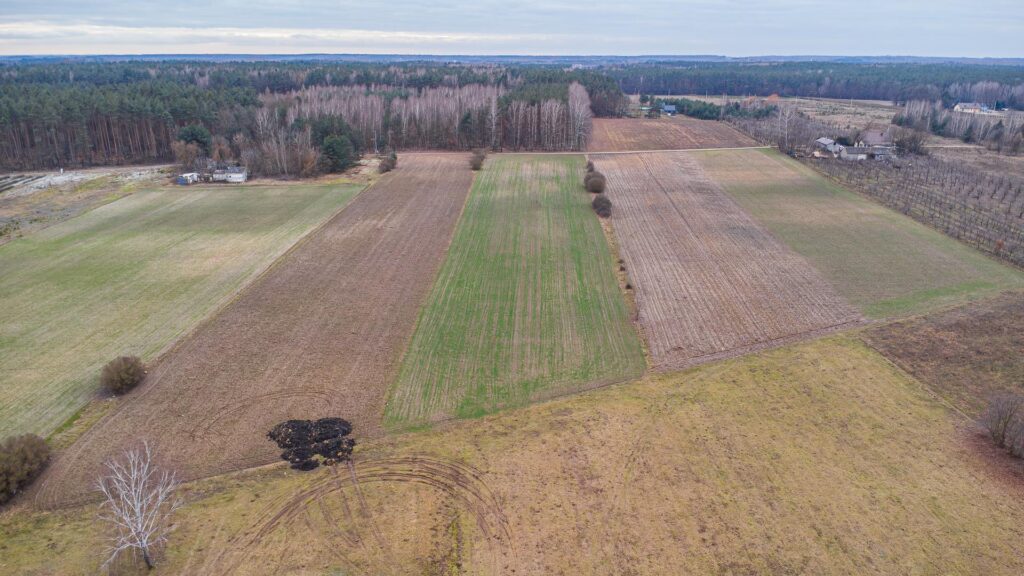 Piękna działka 1,05 ha Chudolipie gm. Mszczonów - zdjęcie 10