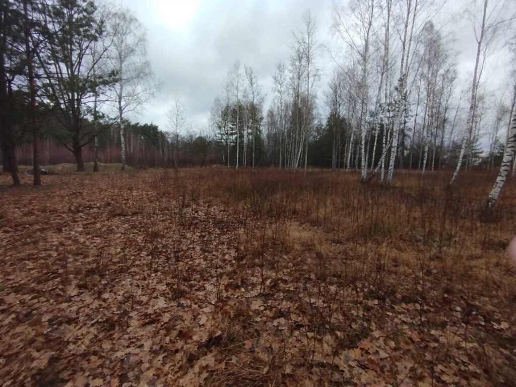 Grunt inwestycyjny w Sulejówku ! 1Ha budowlany - zdjęcie 6