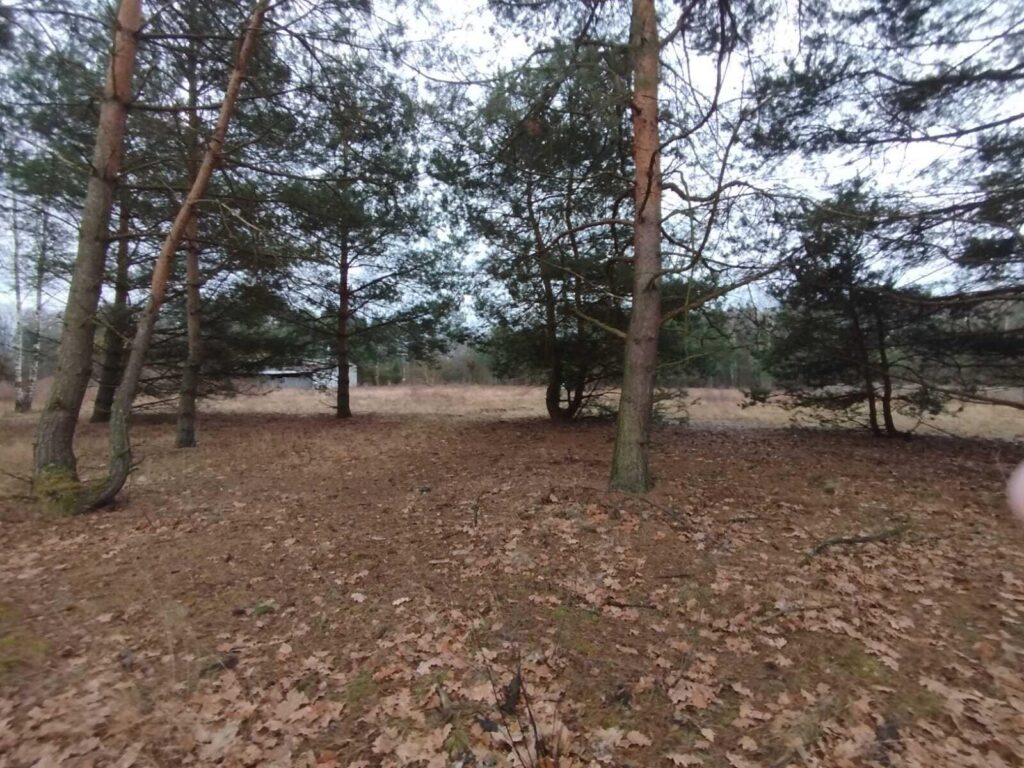 Grunt inwestycyjny w Sulejówku ! 1Ha budowlany - zdjęcie 2
