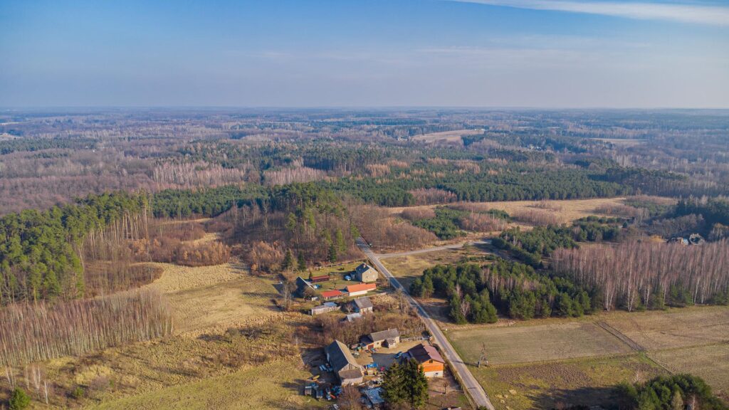 Działka w lesie w Grzegorzewicach - zdjęcie 28