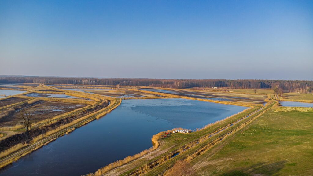Działka w lesie w Grzegorzewicach - zdjęcie 38