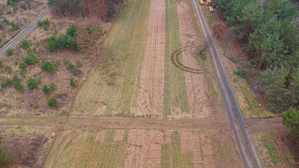 Piękna działka 1500 m2 w Grzegorzewicach - zdjęcie 12