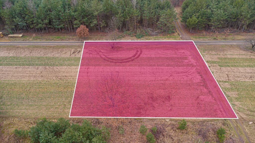 Piękna działka 1500 m2 w Grzegorzewicach - zdjęcie 7