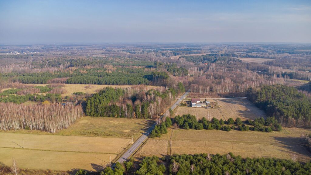 Piękna działka 1500 m2 w Grzegorzewicach - zdjęcie 22
