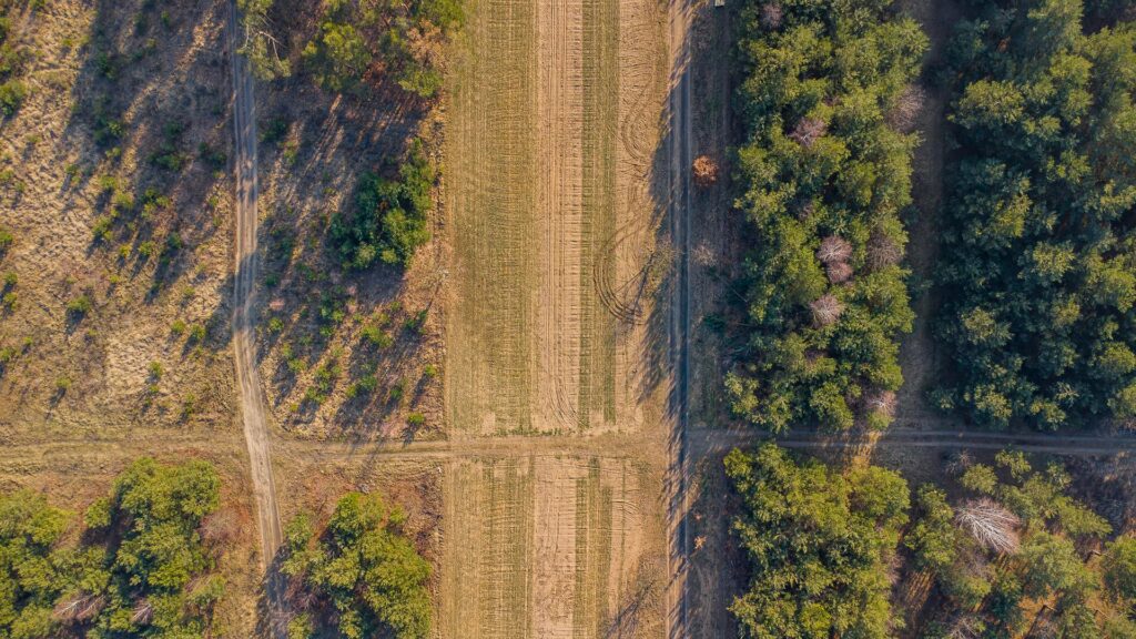 Piękna działka 1500 m2 w Grzegorzewicach - zdjęcie 10