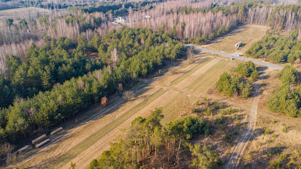 Piękna działka 1500 m2 w Grzegorzewicach - zdjęcie 13