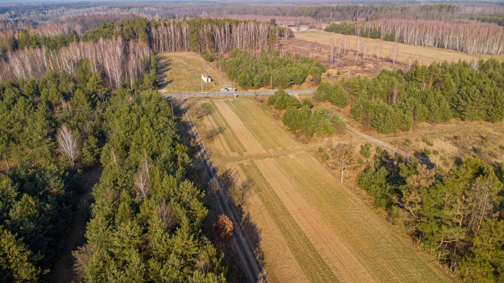 Piękna działka 1500 m2 w Grzegorzewicach - zdjęcie 11