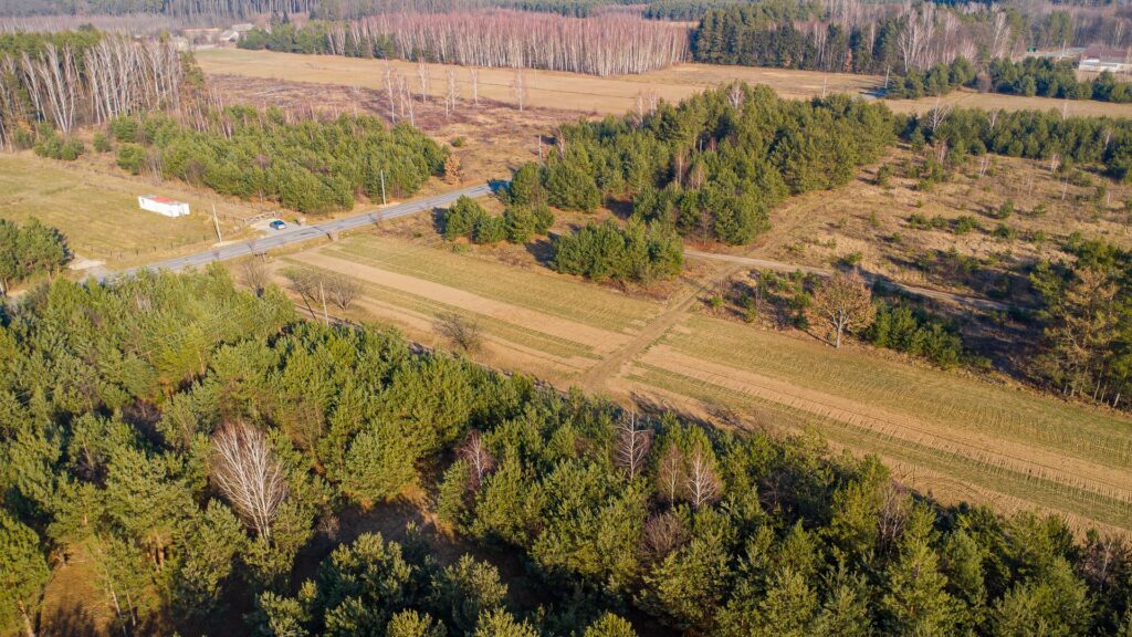 Piękna działka 1500 m2 w Grzegorzewicach - zdjęcie 16