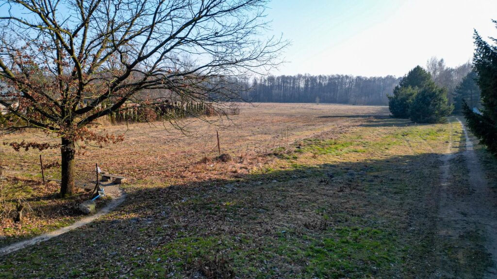 Teren pod inwestycję mieszkaniową w gminie Tarczyn - zdjęcie 7