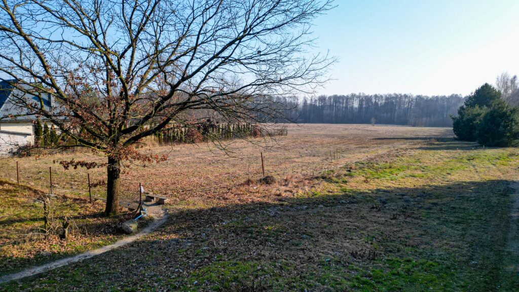 Teren pod inwestycję mieszkaniową w gminie Tarczyn - zdjęcie 17