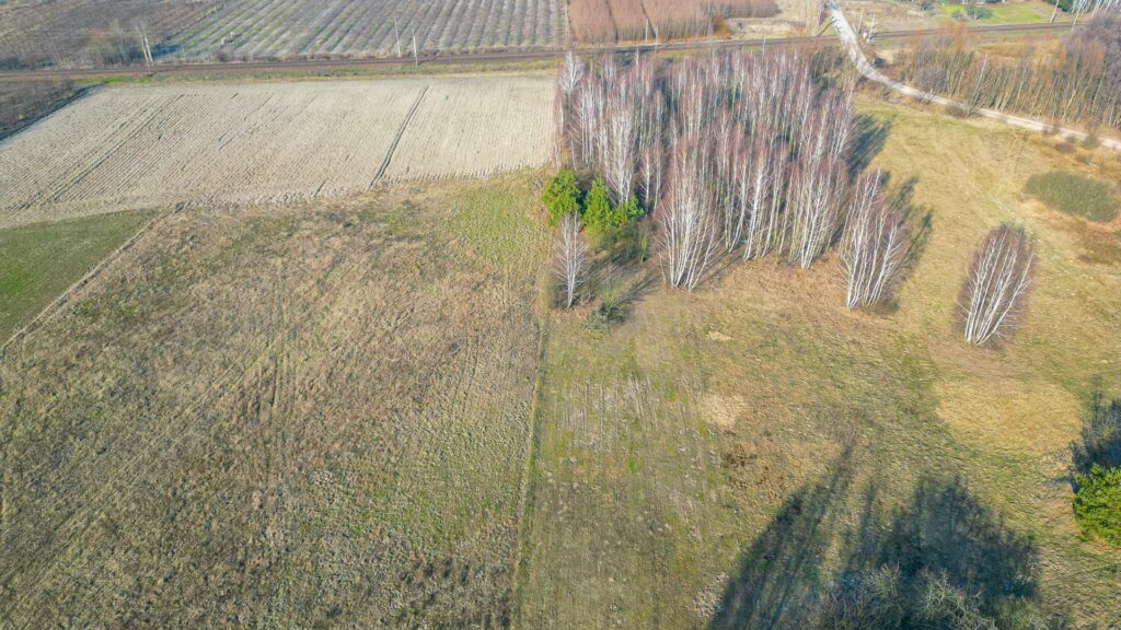 Działka rolna w Suchostrudze - zdjęcie 9