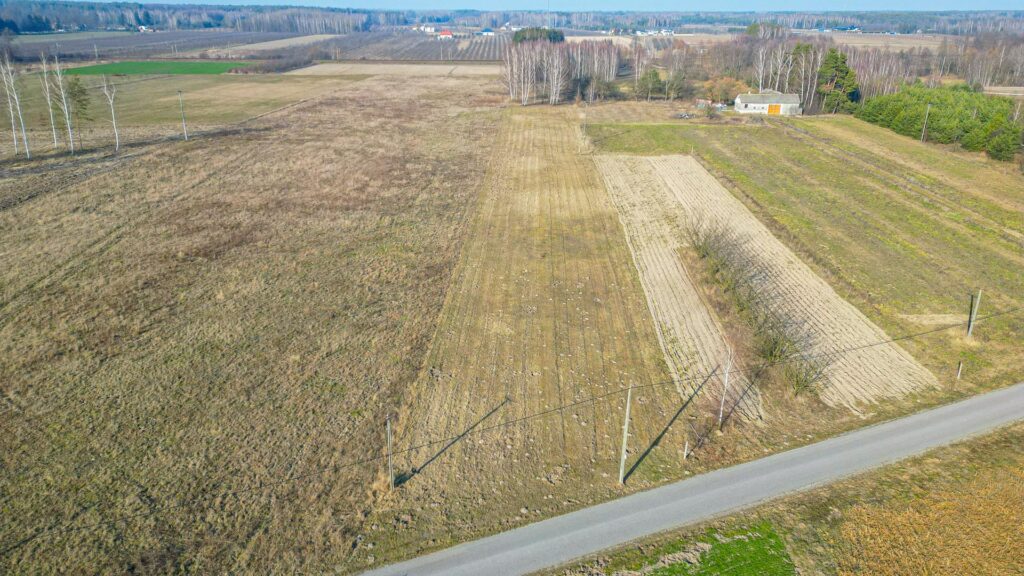 Działka rolna w Suchostrudze - zdjęcie 13