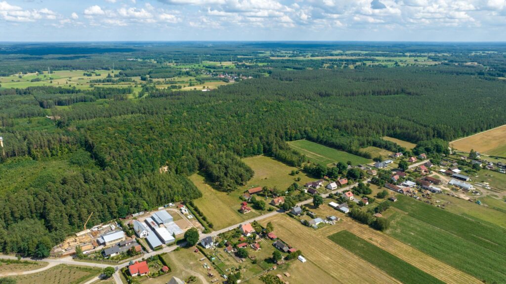 Działka pod budowę 2953 m² w m. Ciemna Dąbrowa . - zdjęcie 8