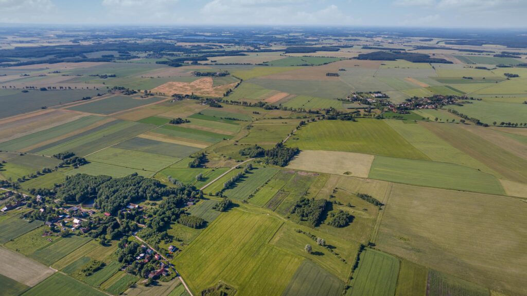 Działka z wydanymi warunkami zabudowy na dom - zdjęcie 9