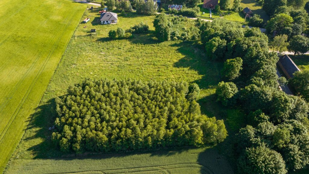 Działka z wydanymi warunkami zabudowy na dom - zdjęcie 10