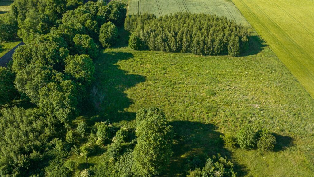 Działka z wydanymi warunkami zabudowy na dom - zdjęcie 11