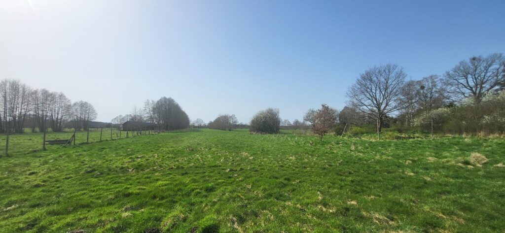 Okazja, Smołdziński Las, Uzbrojone, Piękne Działki - zdjęcie 6