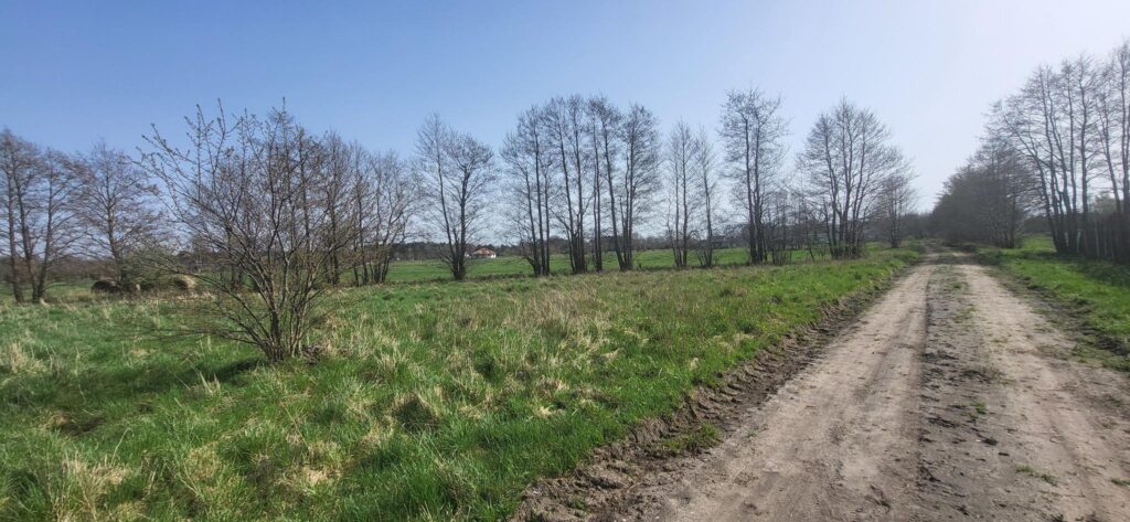 Okazja, Smołdziński Las, Uzbrojone, Piękne Działki - zdjęcie 7