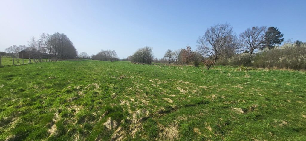 Okazja, Smołdziński Las, Uzbrojone, Piękne Działki - zdjęcie 8