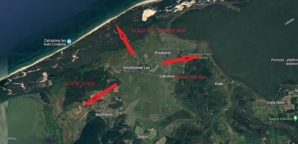 Okazja, Smołdziński Las, Uzbrojone, Piękne Działki - zdjęcie 11