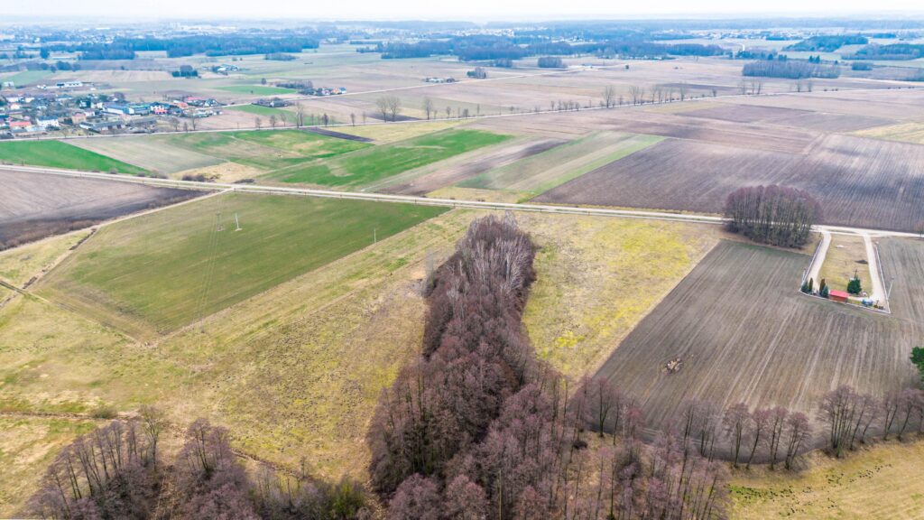 Działka we wsi Płonka Kościelna przy rzece Awissa - zdjęcie 10