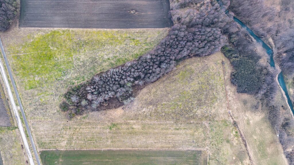 Działka we wsi Płonka Kościelna przy rzece Awissa - zdjęcie 15