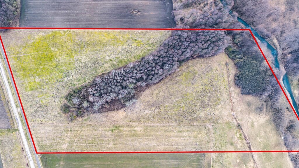 Działka we wsi Płonka Kościelna przy rzece Awissa - zdjęcie 16