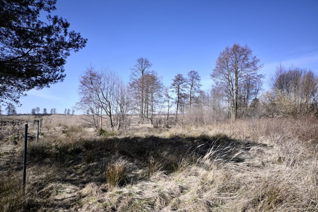 Duża działka budowlana w Koniecpolu - zdjęcie 2