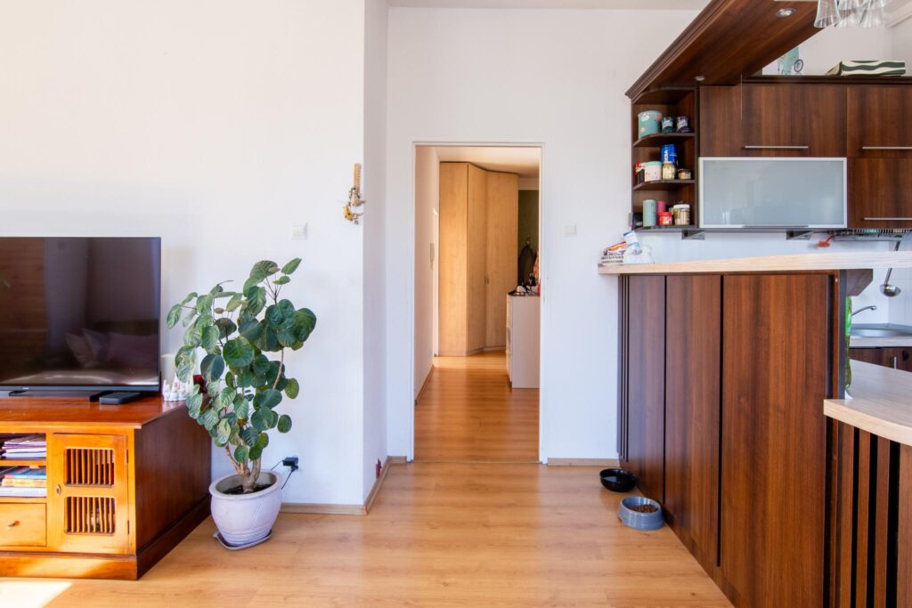 3 pokoje w kamienicy z windą i garażem podziemnym - zdjęcie 20