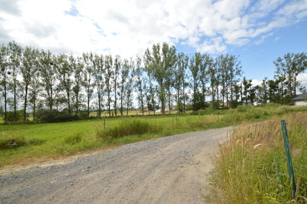 Działka w Prószkowie. - zdjęcie 2