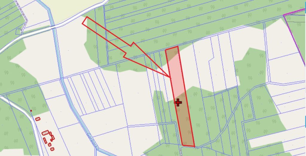 Las na sprzedaż - zdjęcie 1