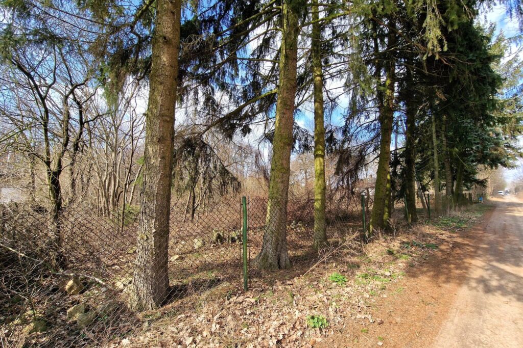 Działki w pięknym otoczeniu nowa infrastruktura - zdjęcie 7