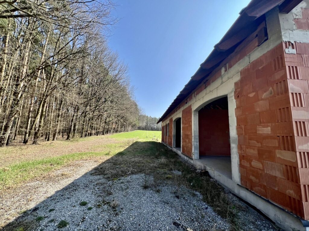 Nowoczesna "stodoła" otoczona lasem - zdjęcie 9