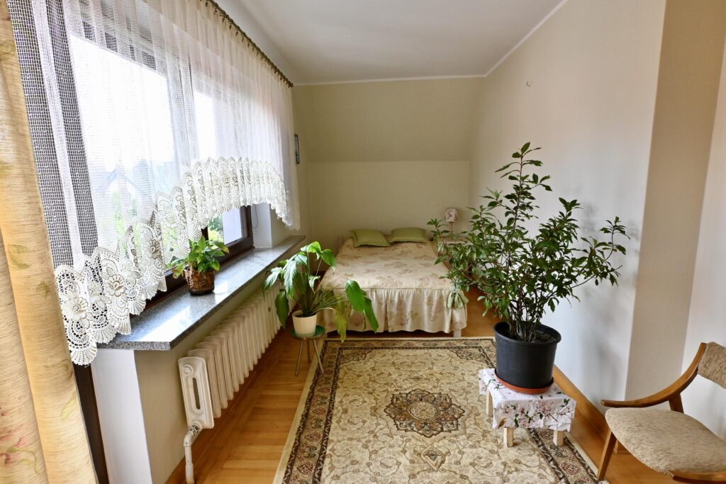 Dom z dużą działką, sadem i własnym lasem - zdjęcie 16