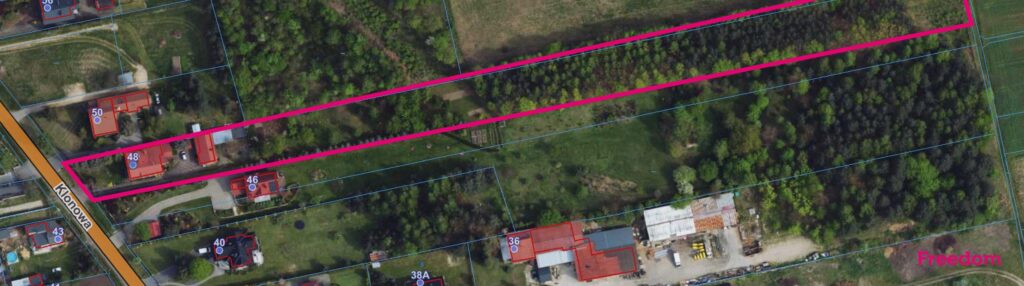 Dom z dużą działką, sadem i własnym lasem - zdjęcie 7