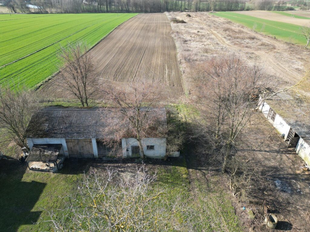 Siedlisko przy trasie Lublin-Nałęczów - zdjęcie 11