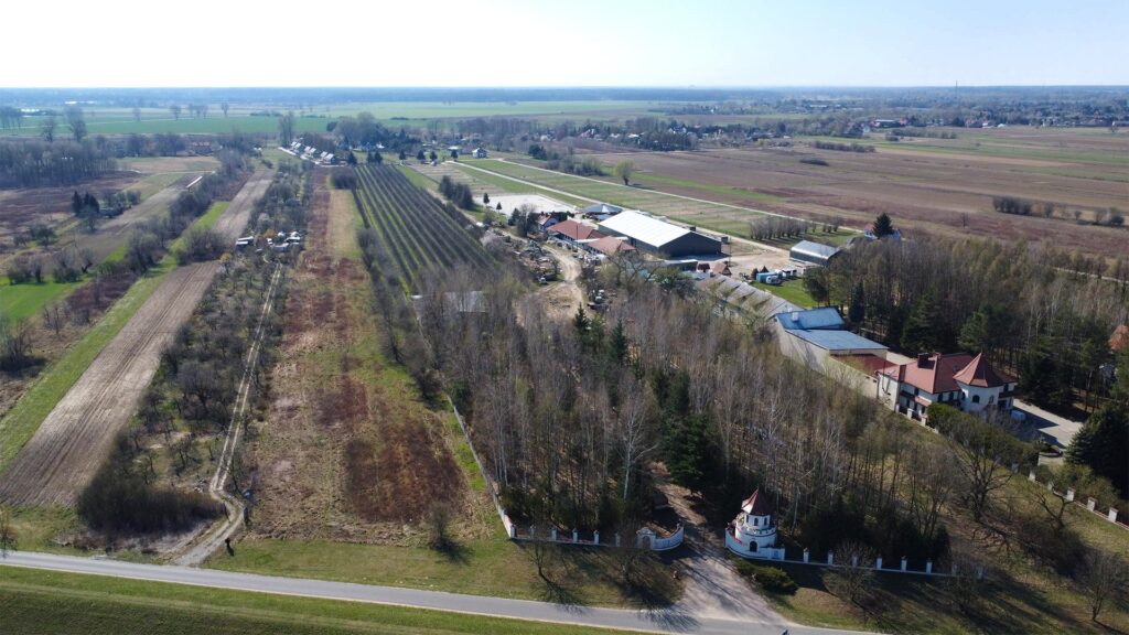Teren 2,2 ha Czernidła obok Konstancina Jeziorna - zdjęcie 6