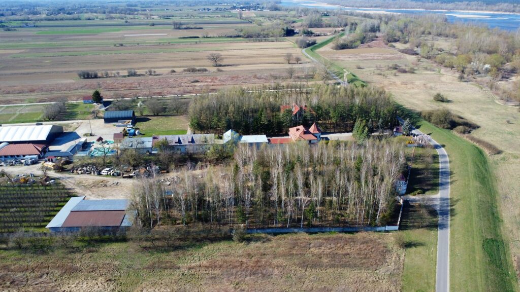 Teren 2,2 ha Czernidła obok Konstancina Jeziorna - zdjęcie 8