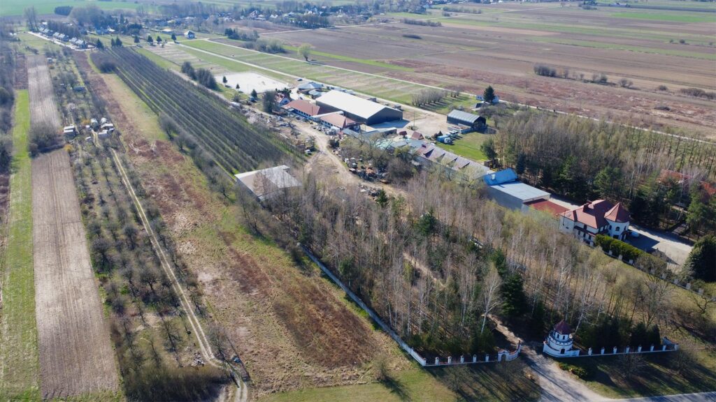 Teren 2,2 ha Czernidła obok Konstancina Jeziorna - zdjęcie 10