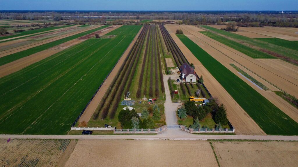 Piękne siedlisko  z domem i halą obok Konstancina - zdjęcie 1