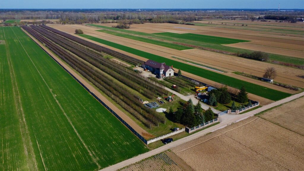 Piękne siedlisko  z domem i halą obok Konstancina - zdjęcie 2