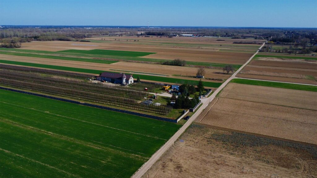 Piękne siedlisko  z domem i halą obok Konstancina - zdjęcie 4