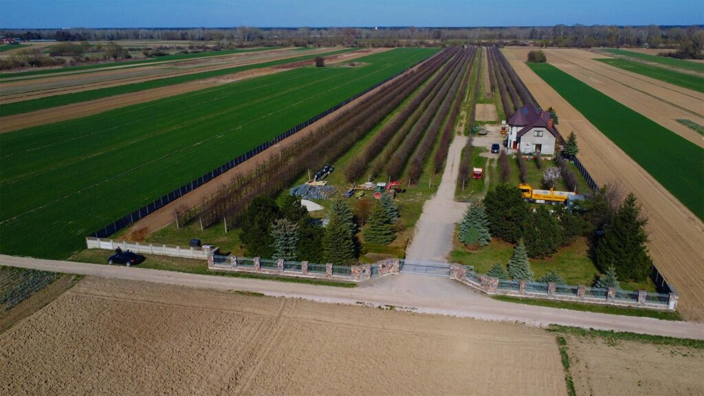 Piękne siedlisko  z domem i halą obok Konstancina - zdjęcie 5