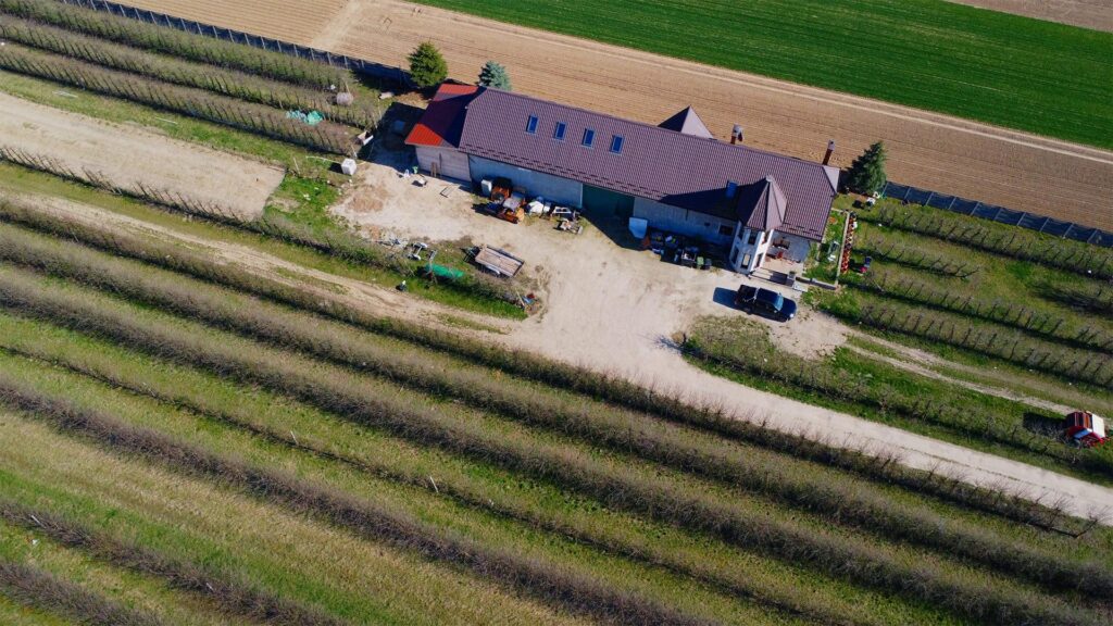 Piękne siedlisko  z domem i halą obok Konstancina - zdjęcie 6