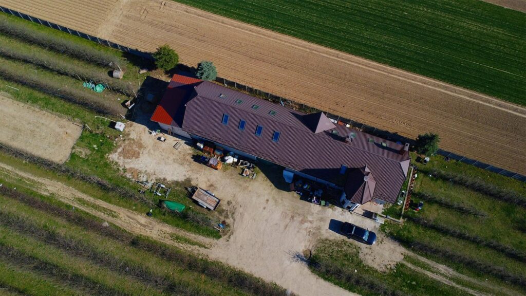 Piękne siedlisko  z domem i halą obok Konstancina - zdjęcie 7