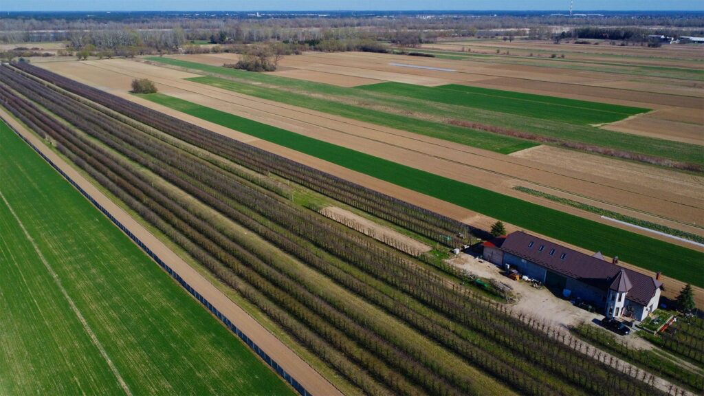 Piękne siedlisko  z domem i halą obok Konstancina - zdjęcie 8